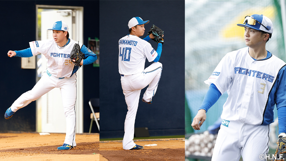 2026年シーズンの全支配下選手で受注販売！ミズノ プロコレ・プレコレ