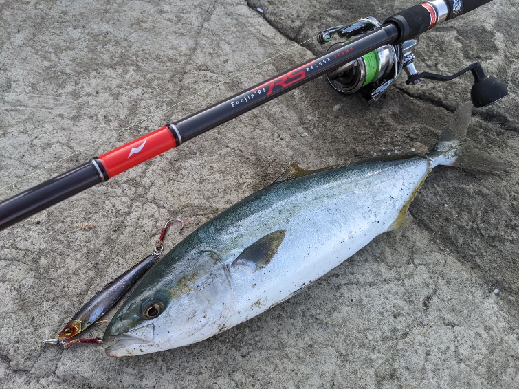 続・めぐりあい】 『Foojin'RS』ベイトモデルなら使えるワケ