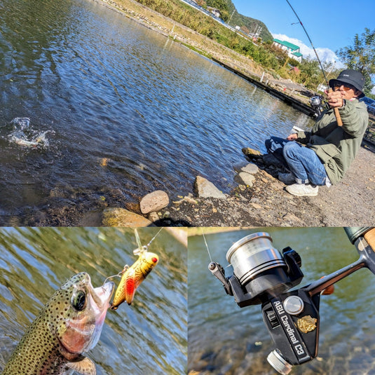 アブガルシア Abuカーディナル3 BRX CDL / AbuGarcia ABU Cardinal3