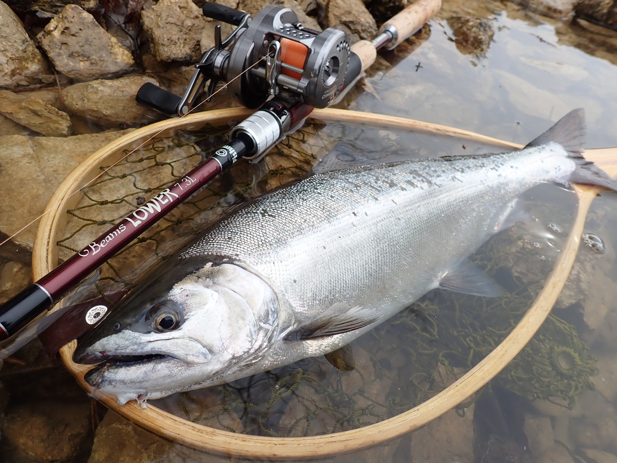 Beams LOWER7.3L アーカイブ - Fishman（フィッシュマン）