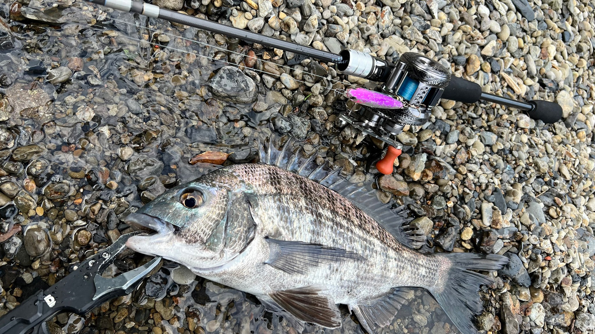 トップチヌに最適な「Beams LOWER」というシリーズのこと - Fishman