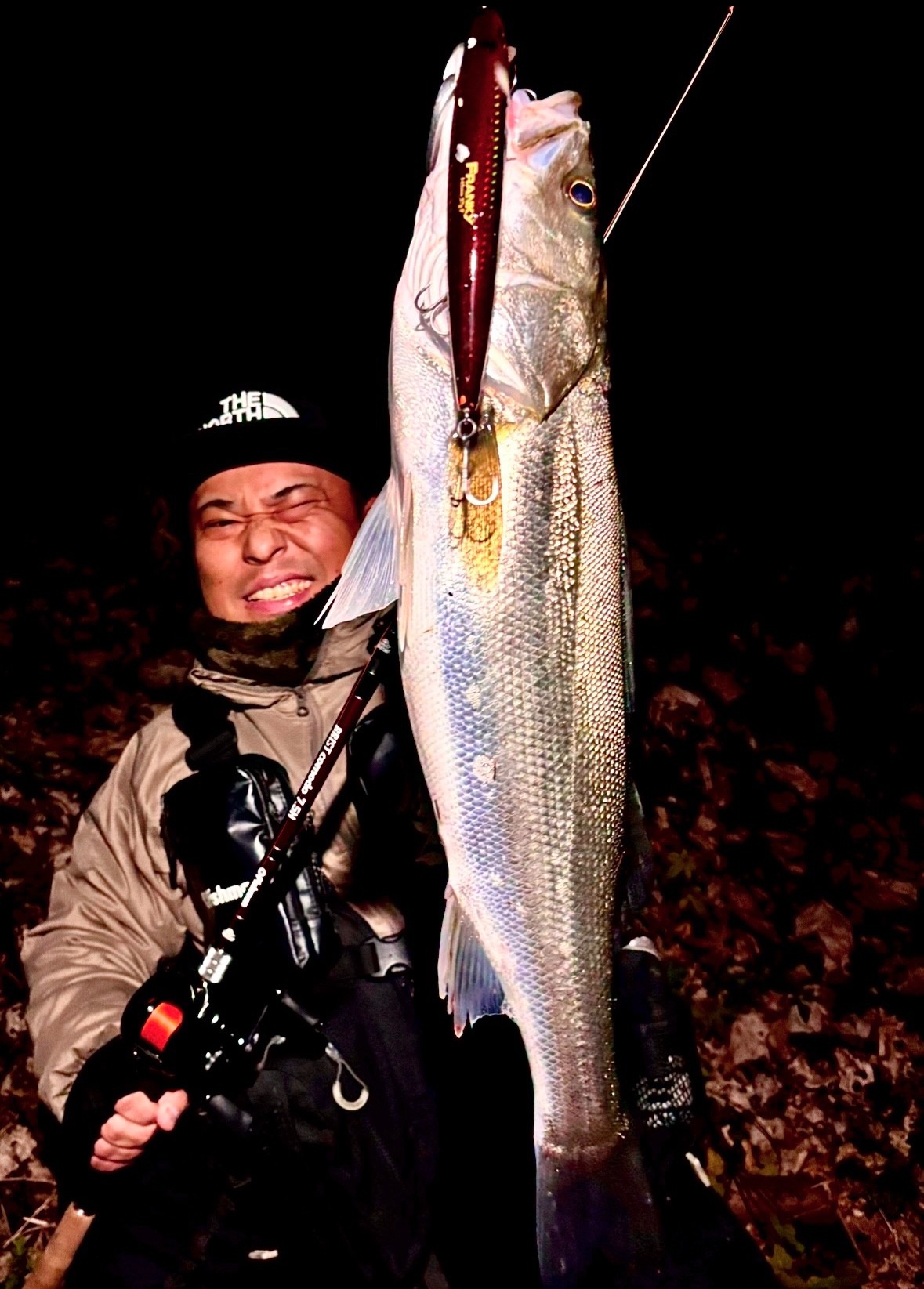 BRIST comodo7.5H アーカイブ - Fishman（フィッシュマン）