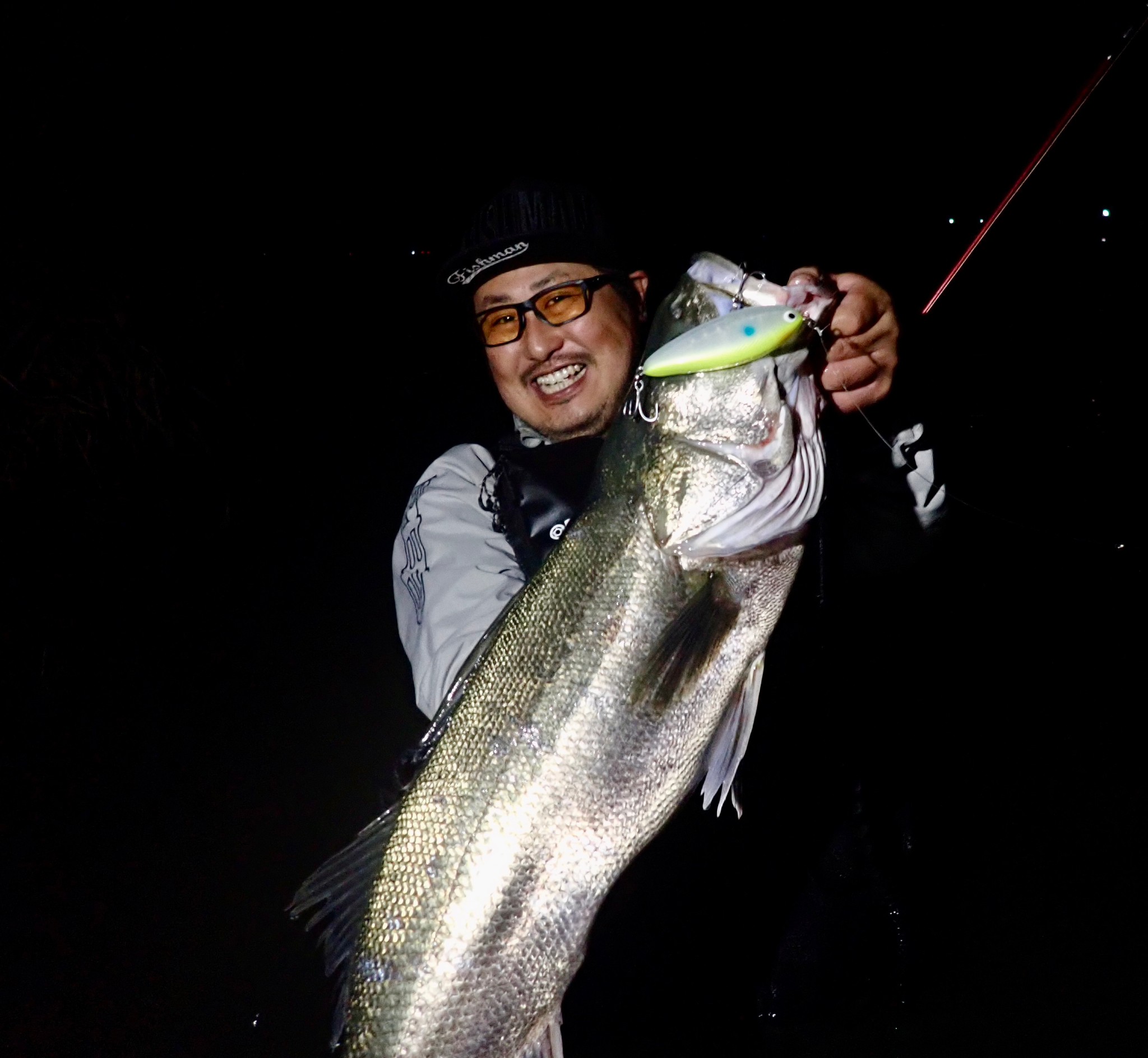 BRIST VENDAVAL10.1M アーカイブ - Fishman（フィッシュマン）