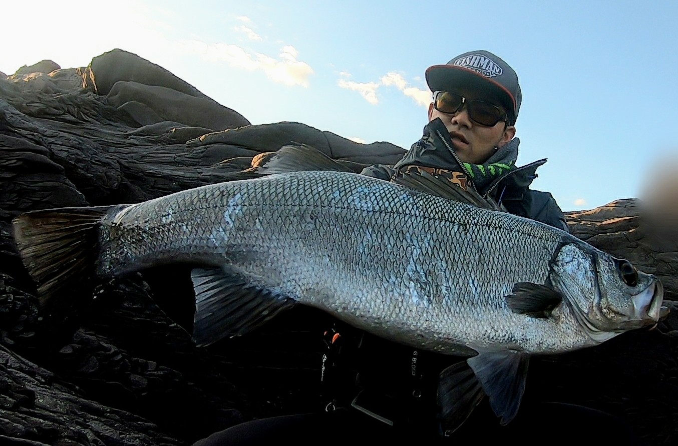 BRIST VENDAVAL10.1M アーカイブ - 6ページ目 (6ページ中) - Fishman