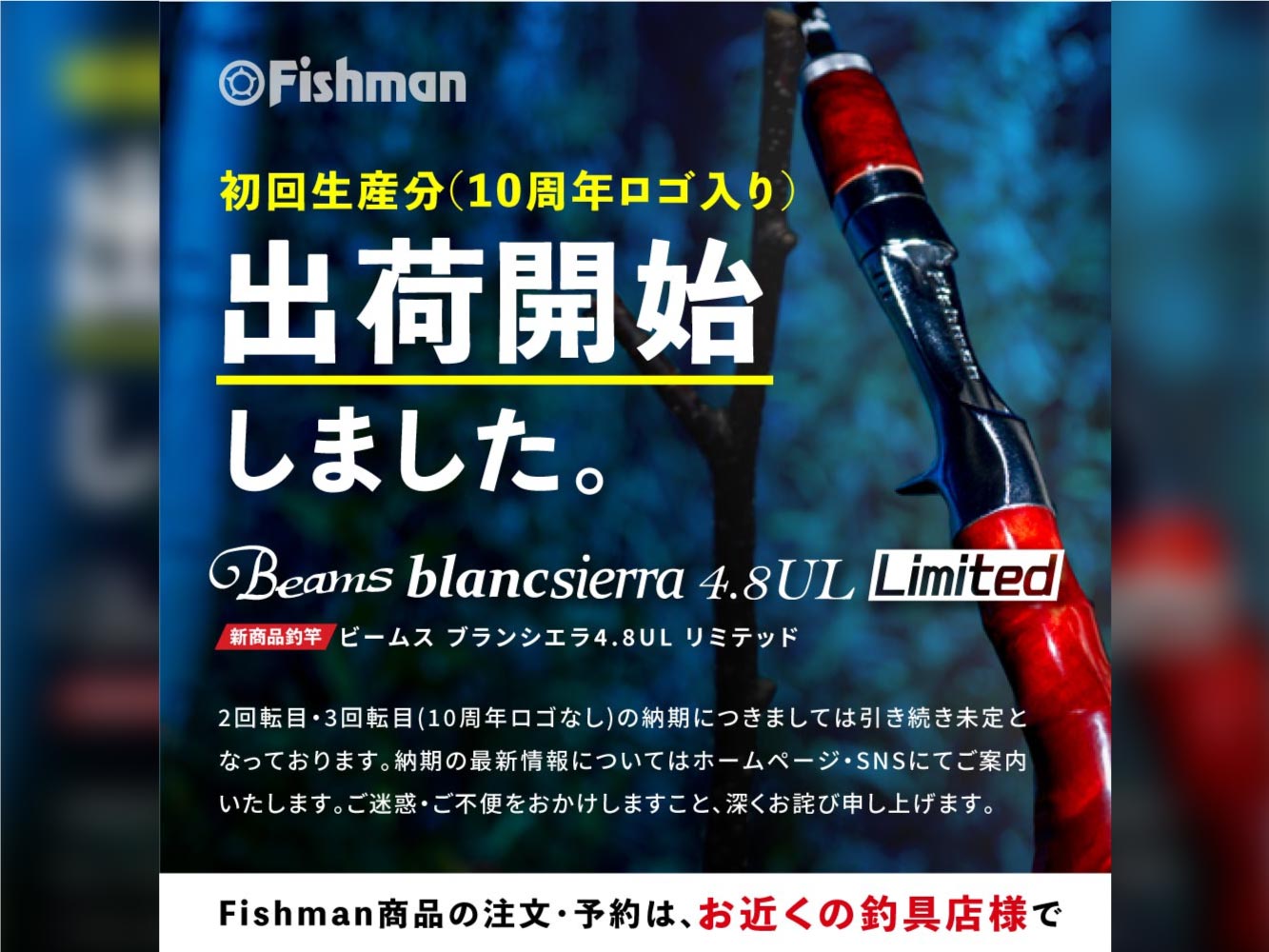 Beams blancsierra4.8UL LIMITED アーカイブ - Fishman（フィッシュマン）