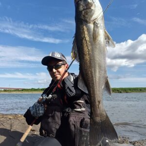 timeline_20241031_221252-