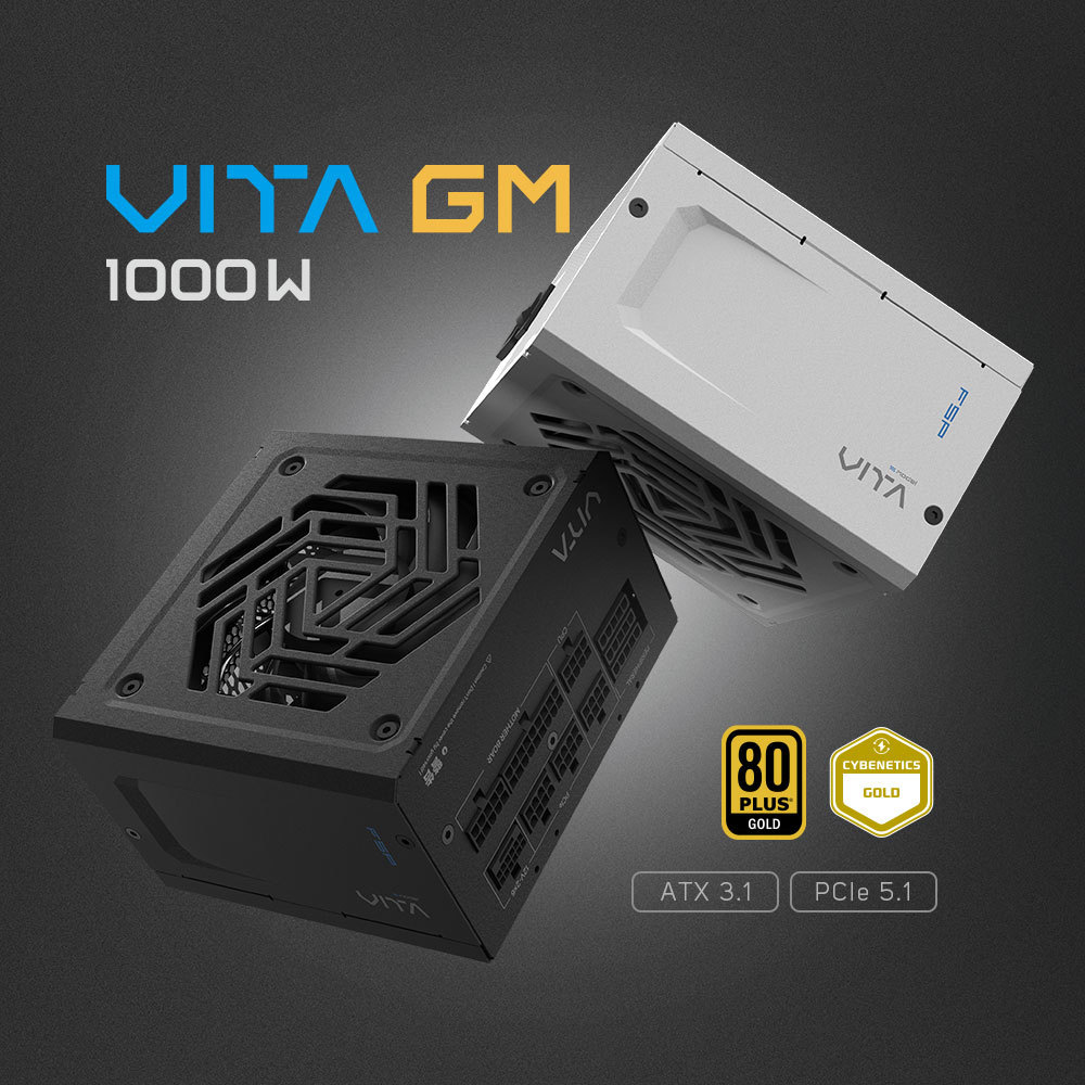 VITA GM | 電源 (PSU) | FSP