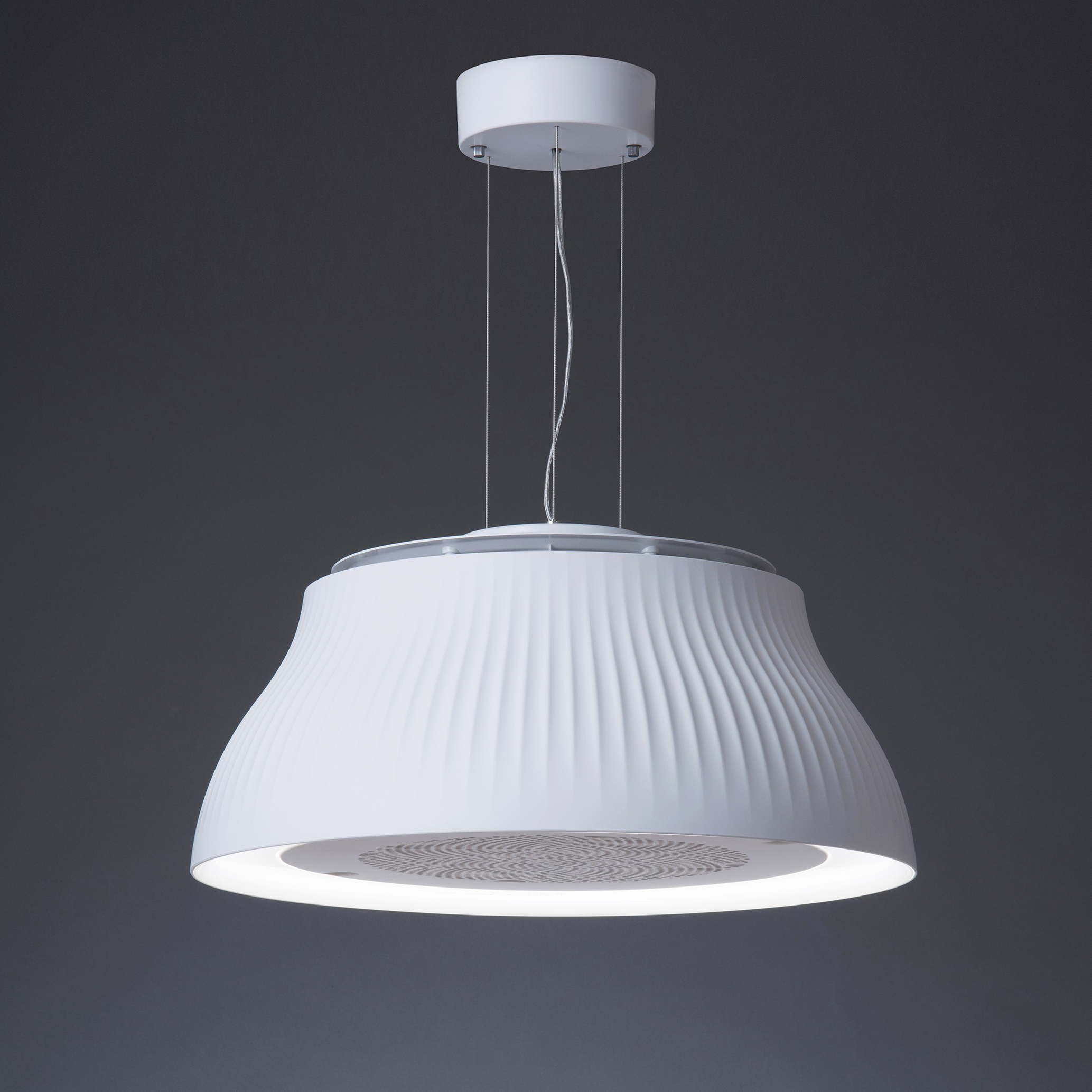 本体 / フジオーショップ 富士工業公式ストア