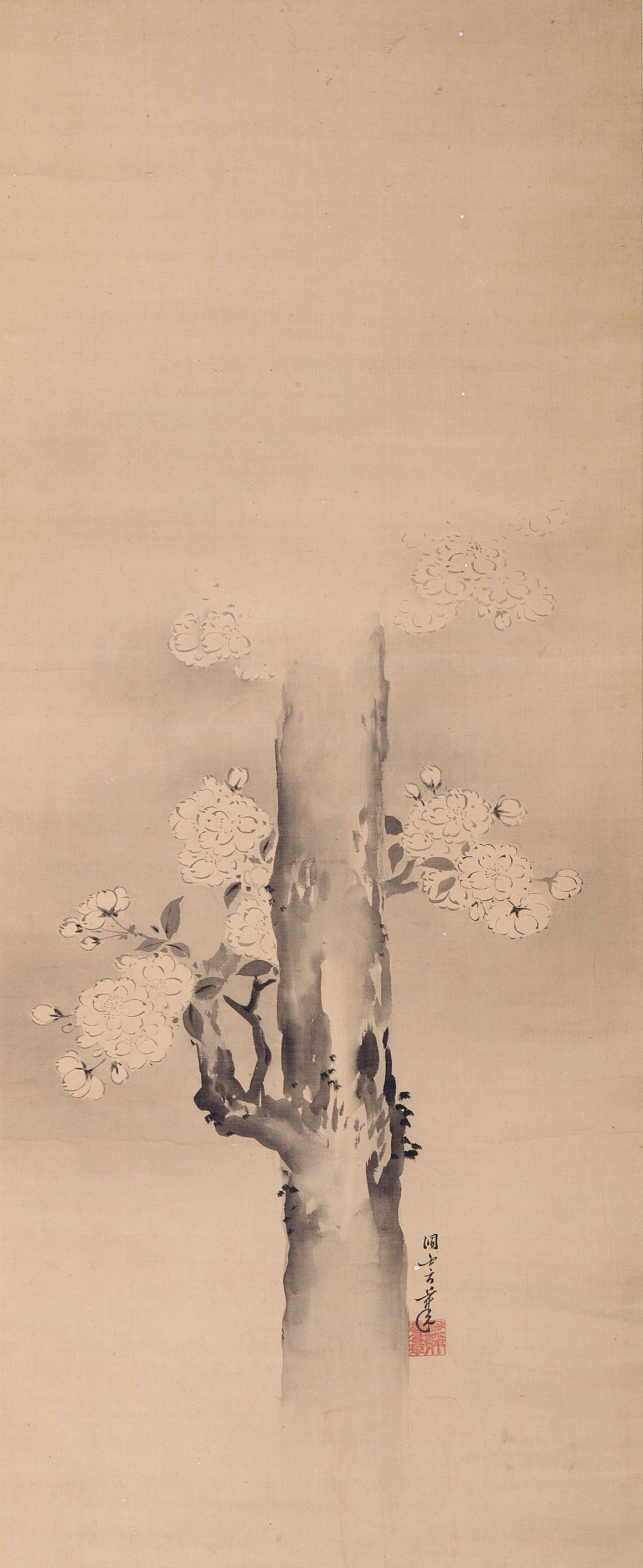 花（雪月花より） | 狩野益信 | 収蔵品詳細 | 作品を知る | 東京富士