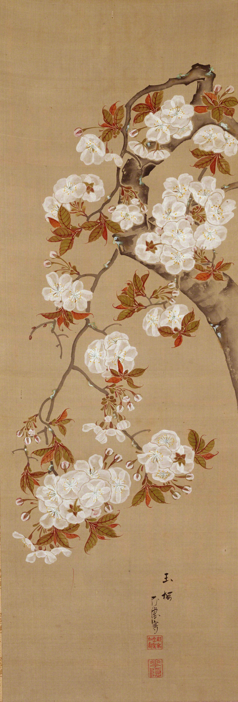 玉桜図 | 広瀬花隠 | 収蔵品詳細 | 作品を知る | 東京富士美術館
