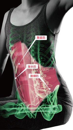 商品特長｜マッサージチェアのパイオニア フジ医療器（1954年創業の美