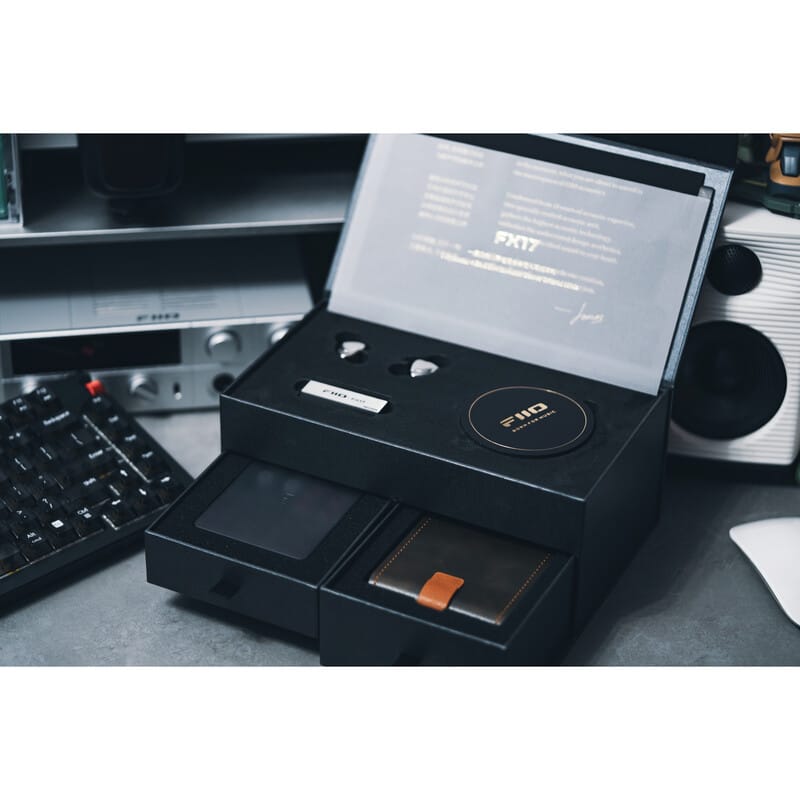 FIIO FX17 [FIO-IEM-FX17-S] 新品｜フジヤエービック