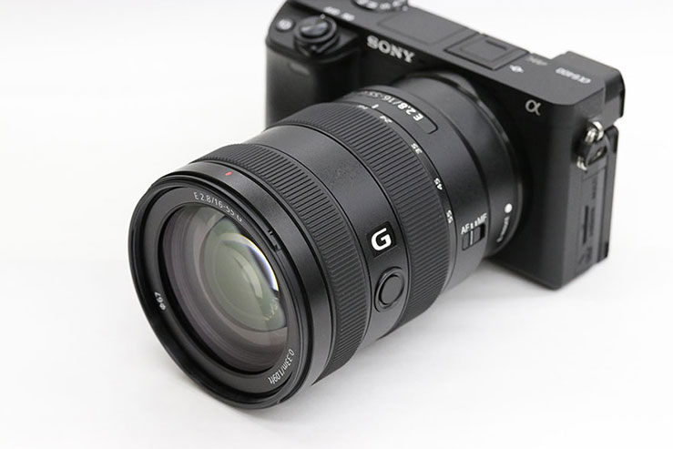 SONY E 16-55mm F2.8 G 実写レビュー