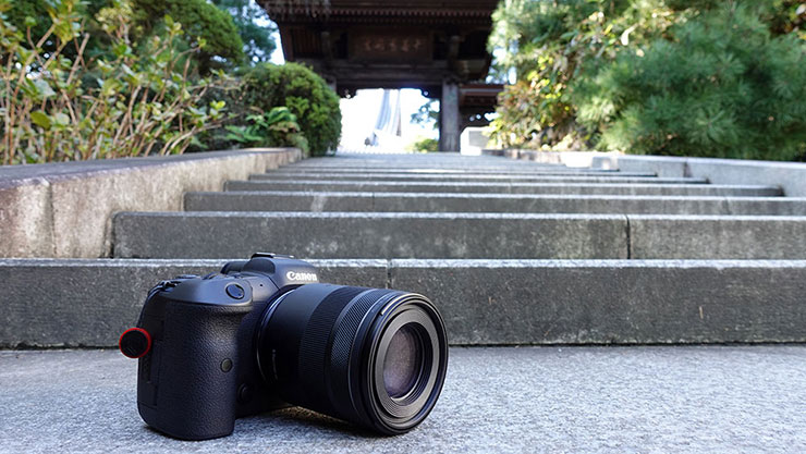 Canon RF85mm F2 MACRO IS STM 実写レビュー