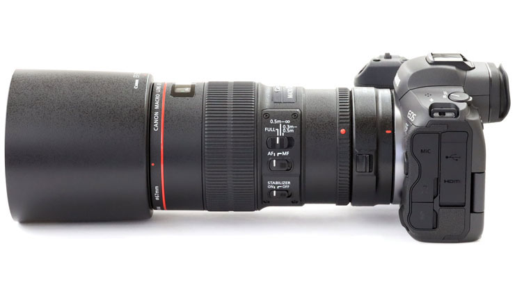 CanonEF100mm F2.8Lマクロ IS USM 実写レビュー