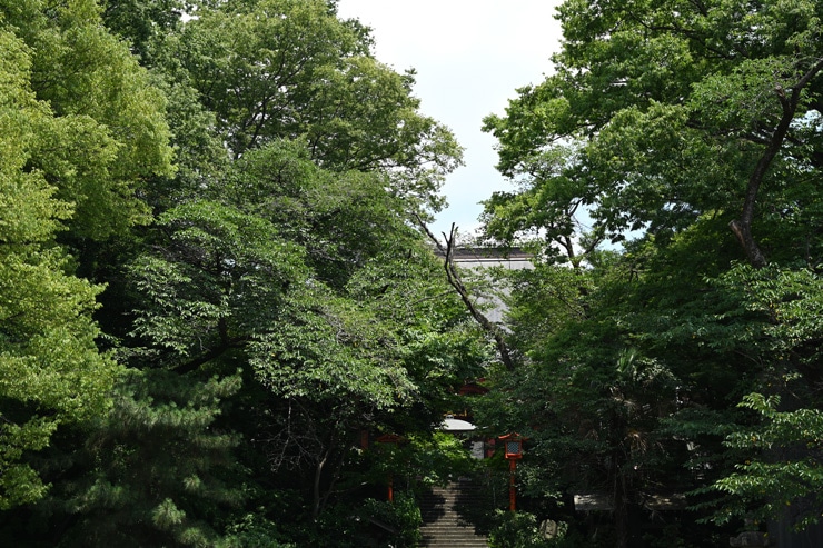 Nikon AF-S NIKKOR 50mm f/1.8 G 実写レビュー