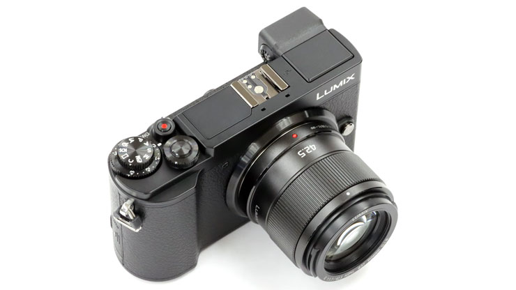 Panasonic LUMIX G 42.5mm / F1.7 ASPH. / POWER O.I.S. 実写レビュー