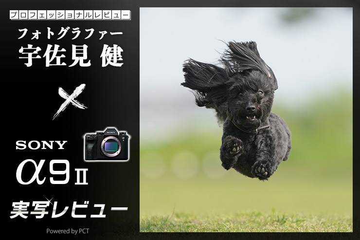 SONY α9 Ⅱ レビュー × 宇佐見 健 | ソニーの元祖爆速機をいまあらためて