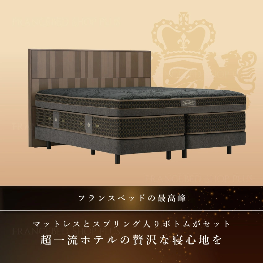 ザフランスベッド TFB-221 / TD-テーレ|【公式通販】フランスベッド