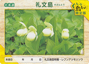 離島カード | 数奇なカードコレクター