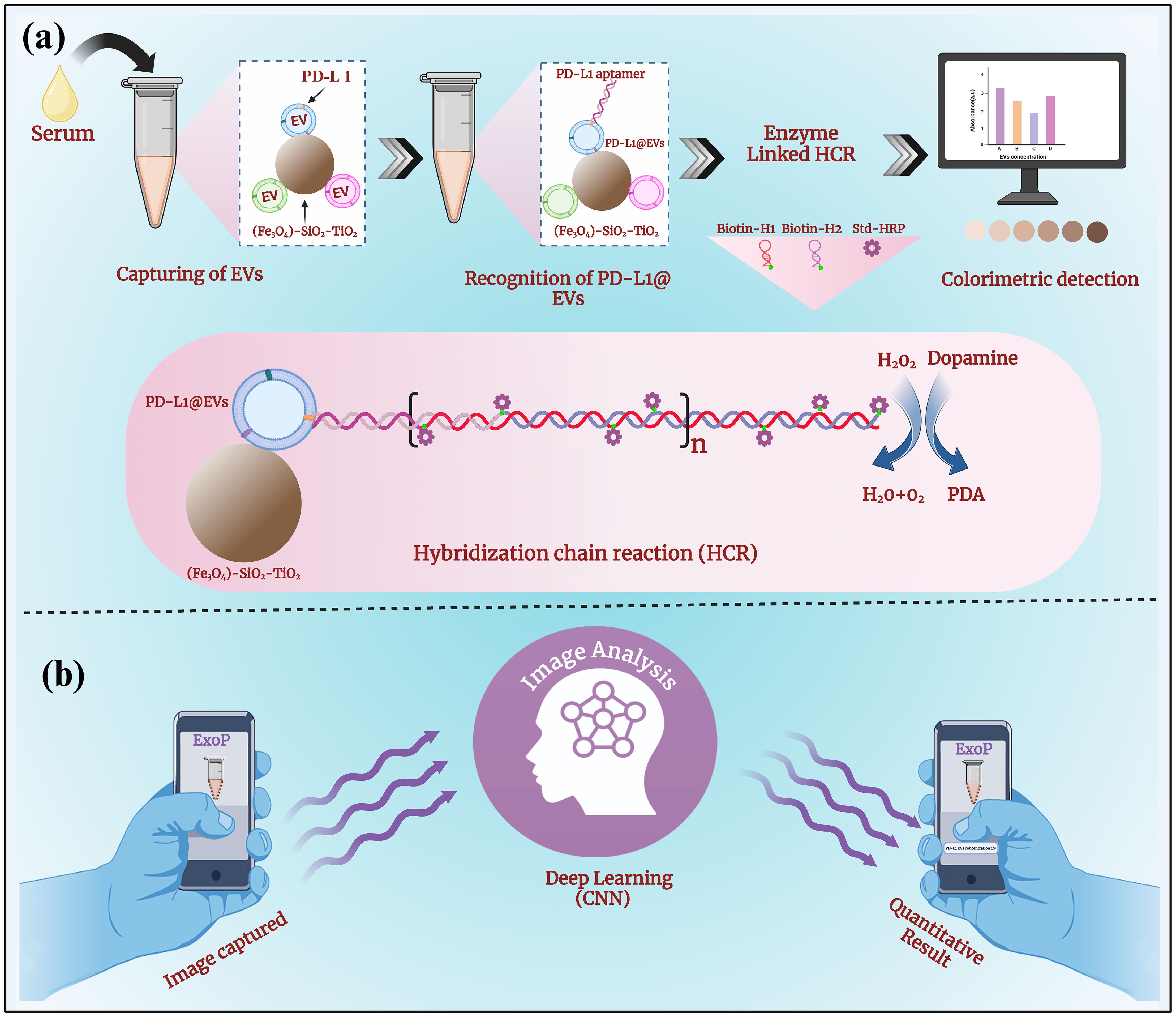 Frontiers | Colorimetric aptasensor coupled with a deep-learning