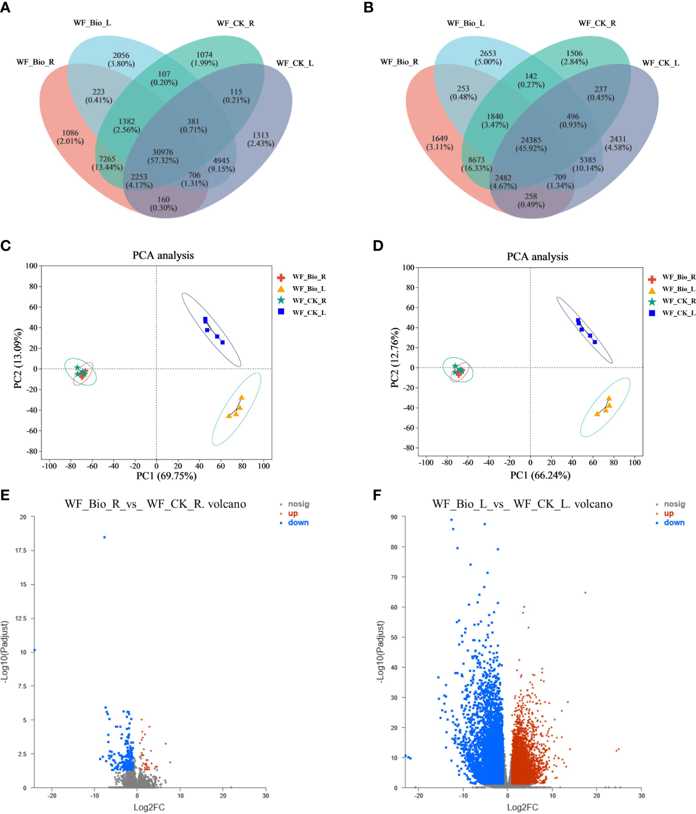 Frontiers | Transcriptome-based analysis of the effects of