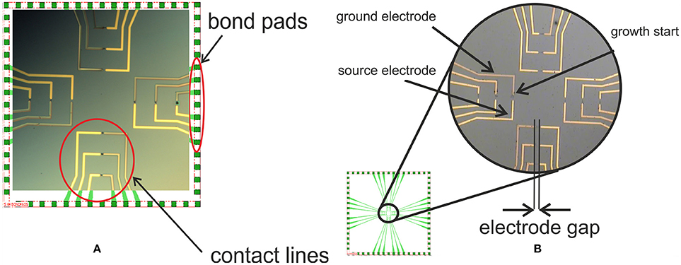 Frontiers | Multisensor Systems by Electrochemical Nanowire