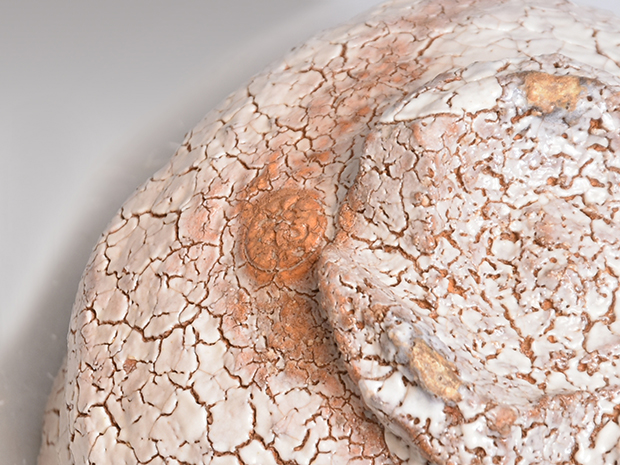 萩茶碗 玉隆山 吉田萩苑（造） 共箱 師 十代 三輪休雪 | 古美術ささき