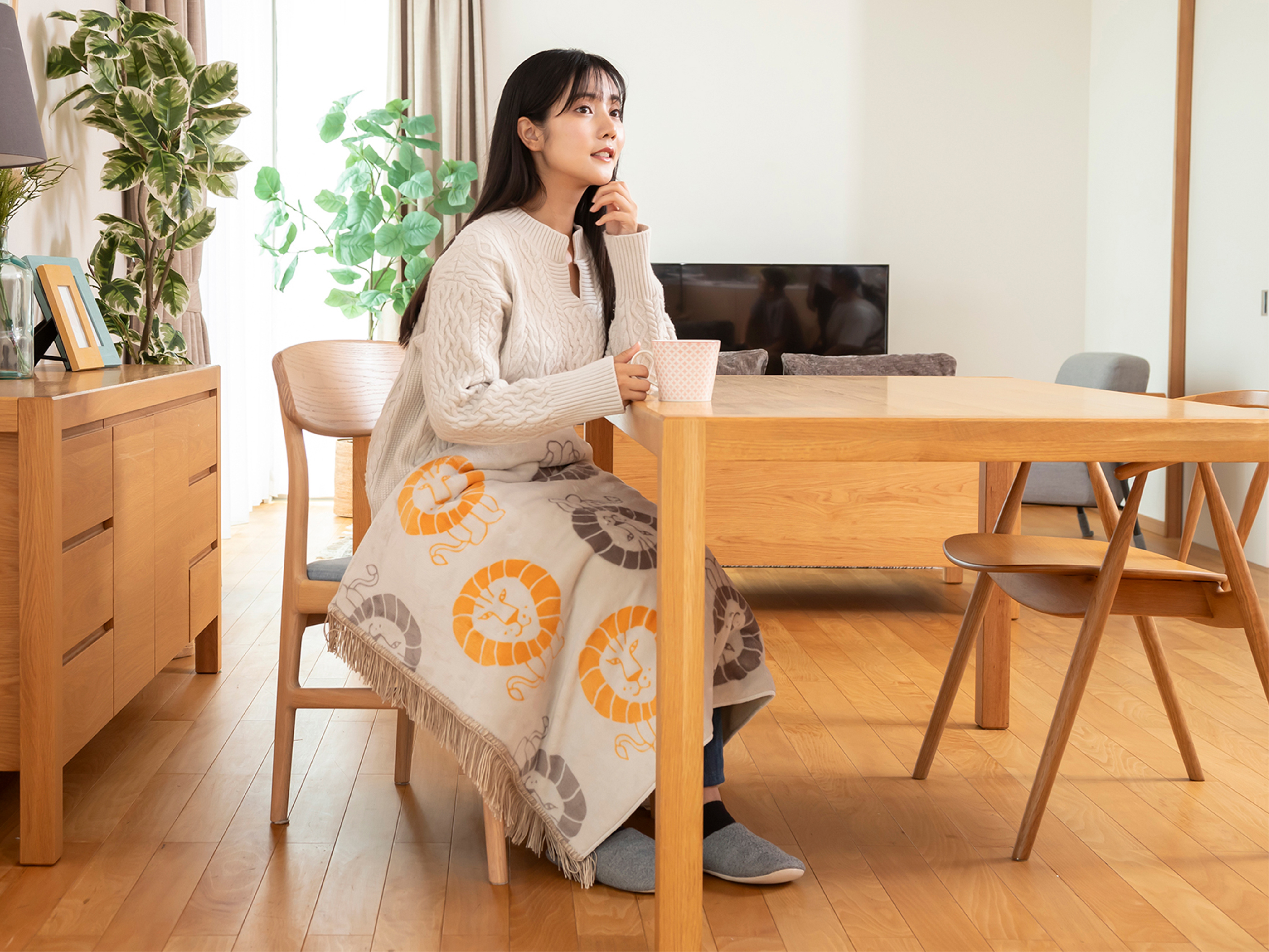 電気ひざ掛け KDH-L306｜電気毛布｜シーズン 季節家電｜KOIZUMI