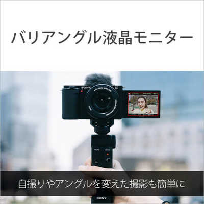 ソニー SONY ミラーレス一眼カメラ VLOGCAM ZV-E10 ボディ ブラック の
