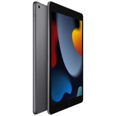 アップル iPad 第9世代 A13 Bionic 10.2インチ Wi-Fi 256GB スペース