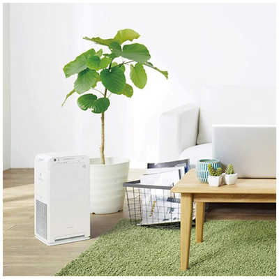 ダイキン DAIKIN 空気清浄機 ストリーマ 空気清浄:25畳まで PM2.5対応