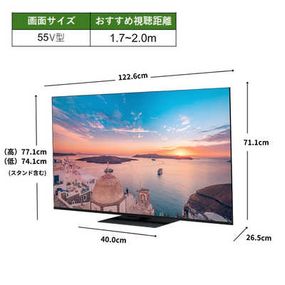 TVS REGZA Mini LED液晶テレビ REGZA [ 55V型 / 4K対応 / YouTube 対応