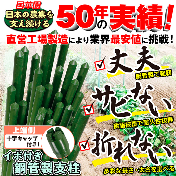 国華園オンラインショップ / 支柱 直径8mm 長さ90～120cm イボ付鋼管製