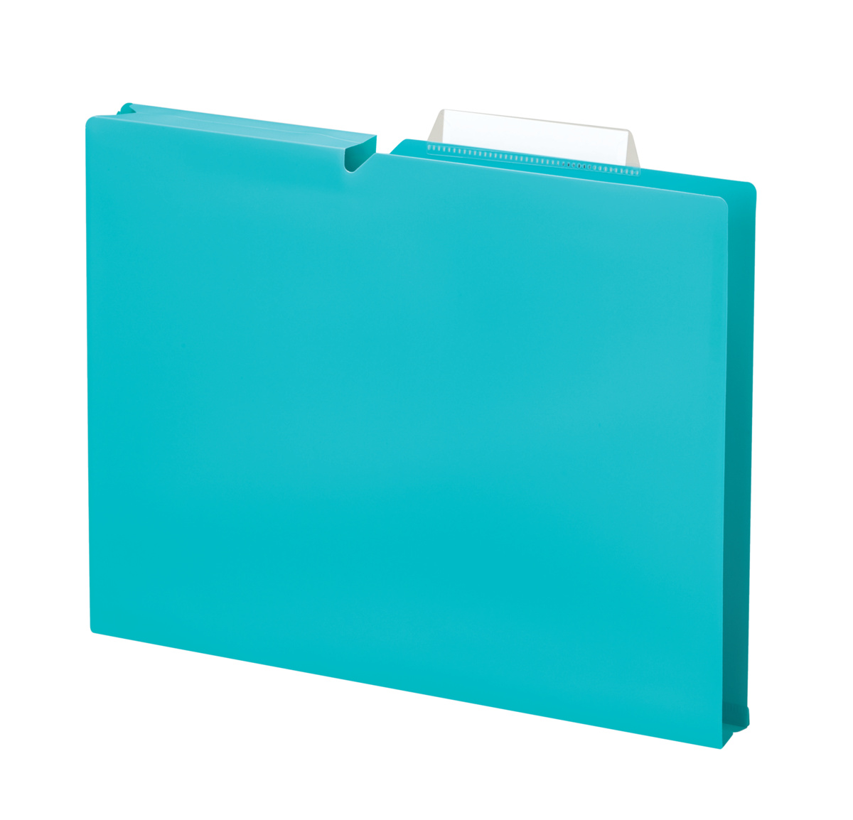 個別フォルダーNEOS PP製A4マチ30mmB色｜文具｜コクヨ