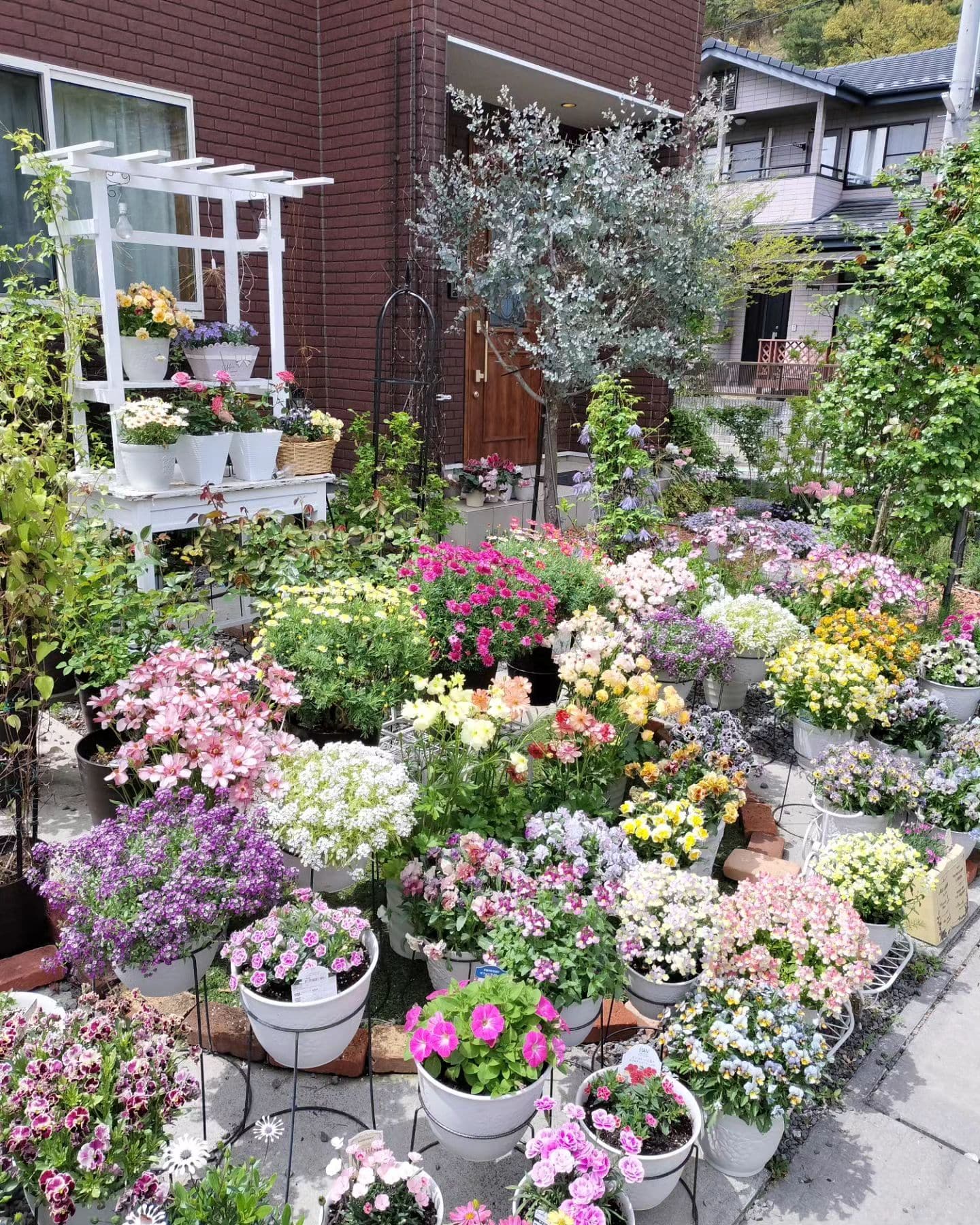 ガーデニングフォトコンテスト2024|コメリドットコム