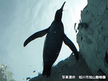 桃鉄！全国物件めぐり | 桃太郎電鉄 ～昭和 平成 令和も定番！～ (桃鉄