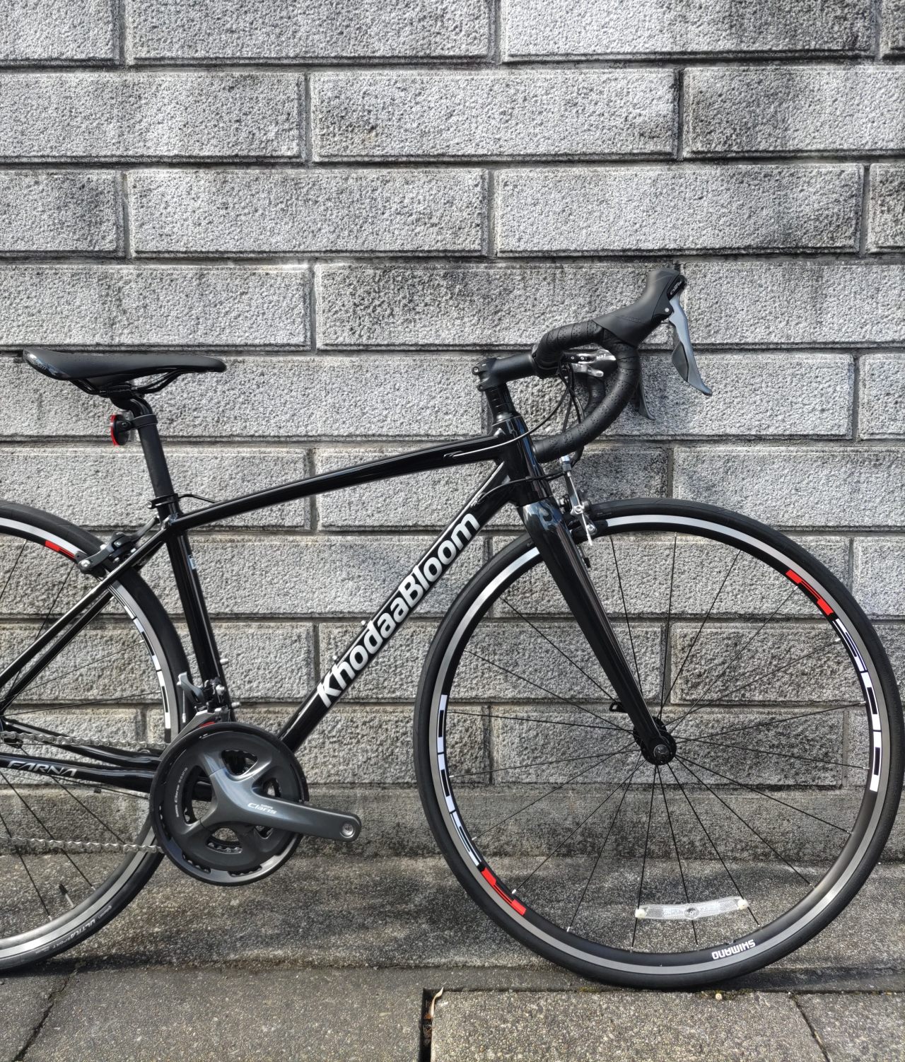 ちぇり】 Khodabloom ファーナ Claris 430 FARNA CLARIS - KhodaaBloom