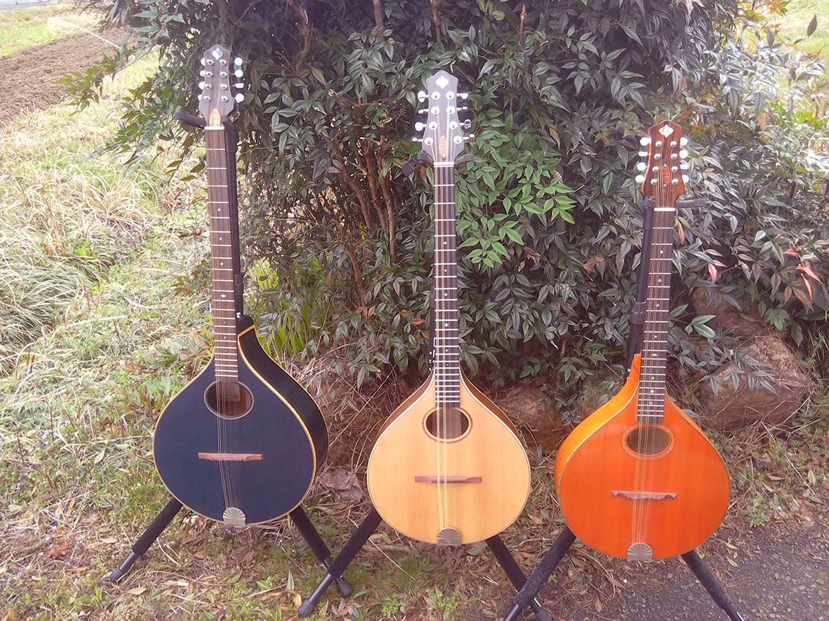 2019モデル – 小坂弦楽器工房