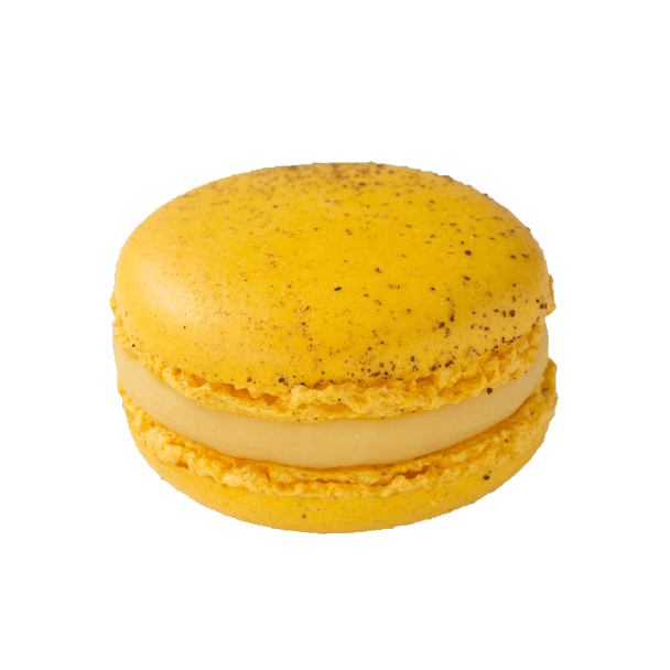 Macarons マカロン | kazunori ikeda individuel