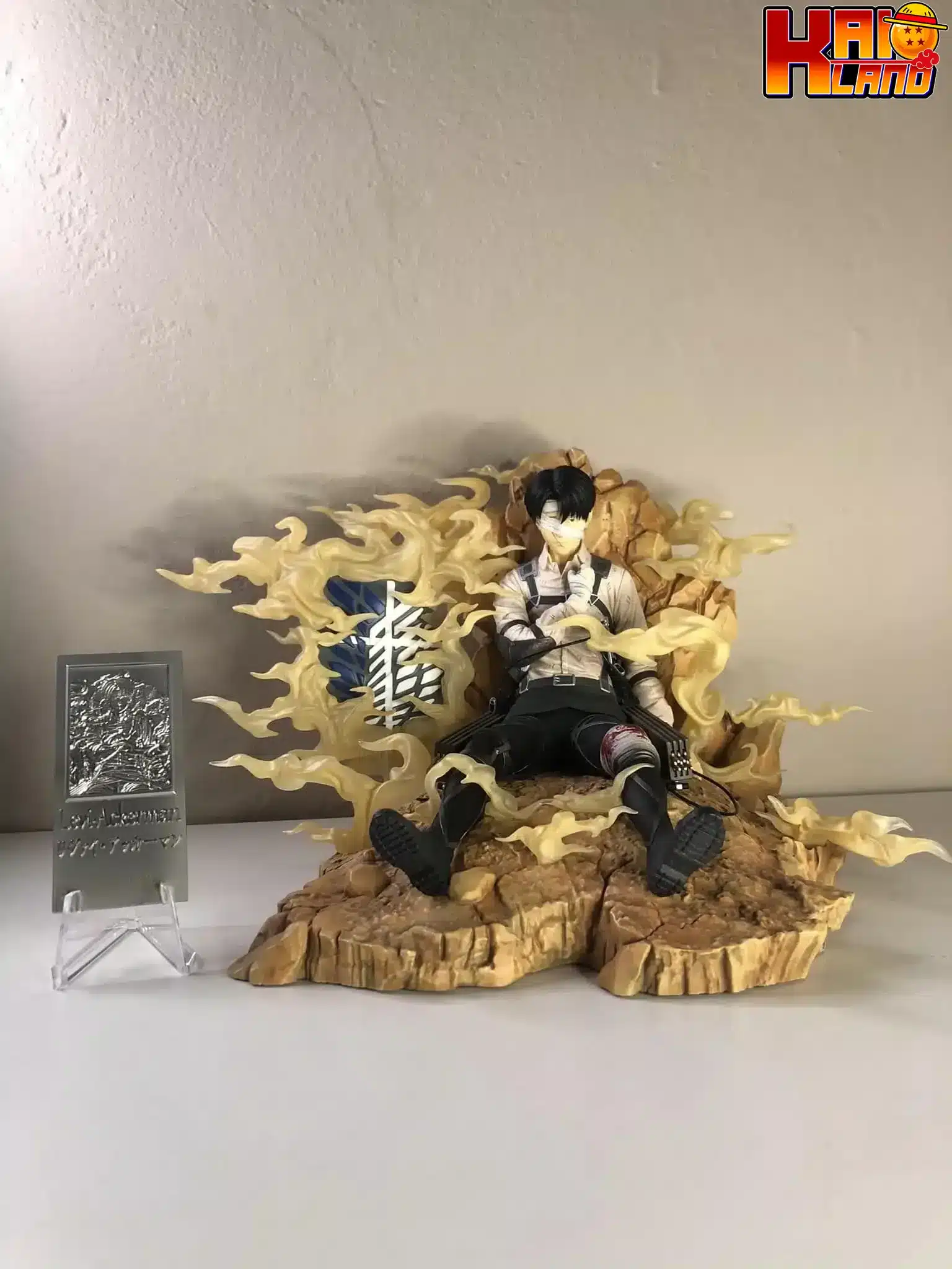 フリーダム スタジオ - カイオランド