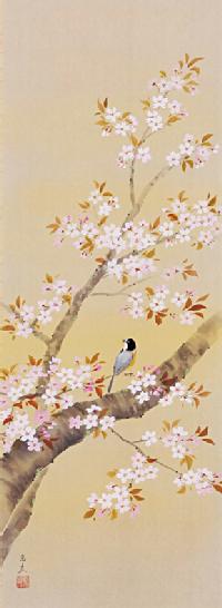 桜に小禽 堀高泉 尺五立！ 春 - 掛け軸（掛軸）販売通販なら掛け軸総本家
