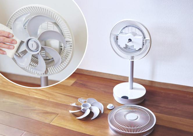 move｜K-F23AY - Kamomefan(カモメファン)公式サイト