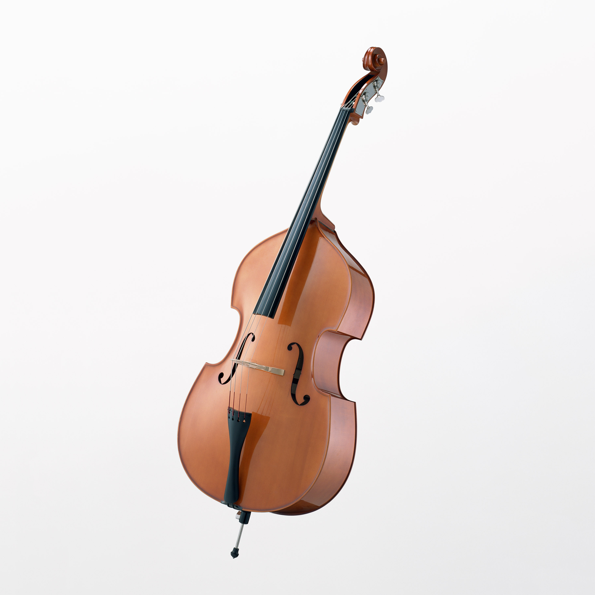 コントラバス / ウッドベース | 楽器図鑑 | カナデルームMAGAZINE