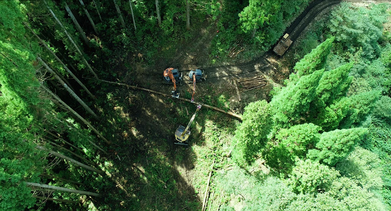 K Chair 60th Anniversary｜カリモク60