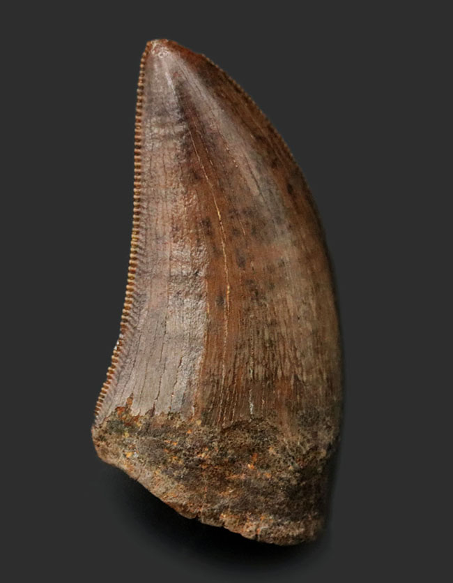 これをジェム級と言わずして何という、ザ・パーフェクト！コレクターに