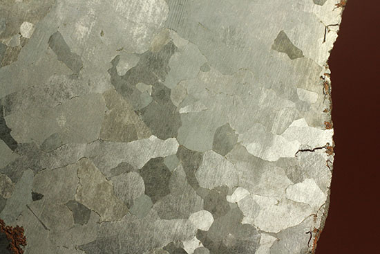 鉄隕石カンポ・デル・シエロのスライス標本(144g) 隕石 販売