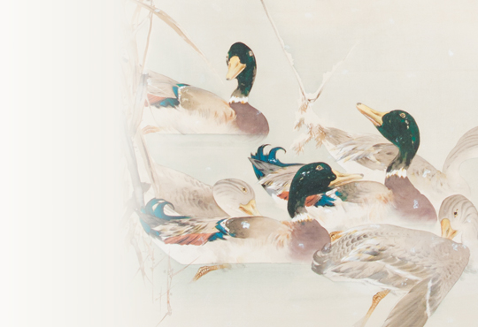 私たちは伊藤若冲を否定する：雪中鴛鴦之図 – 加島美術