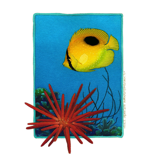 001_ジョアン・フック -JOANNE HOOK- | ArkCorporation