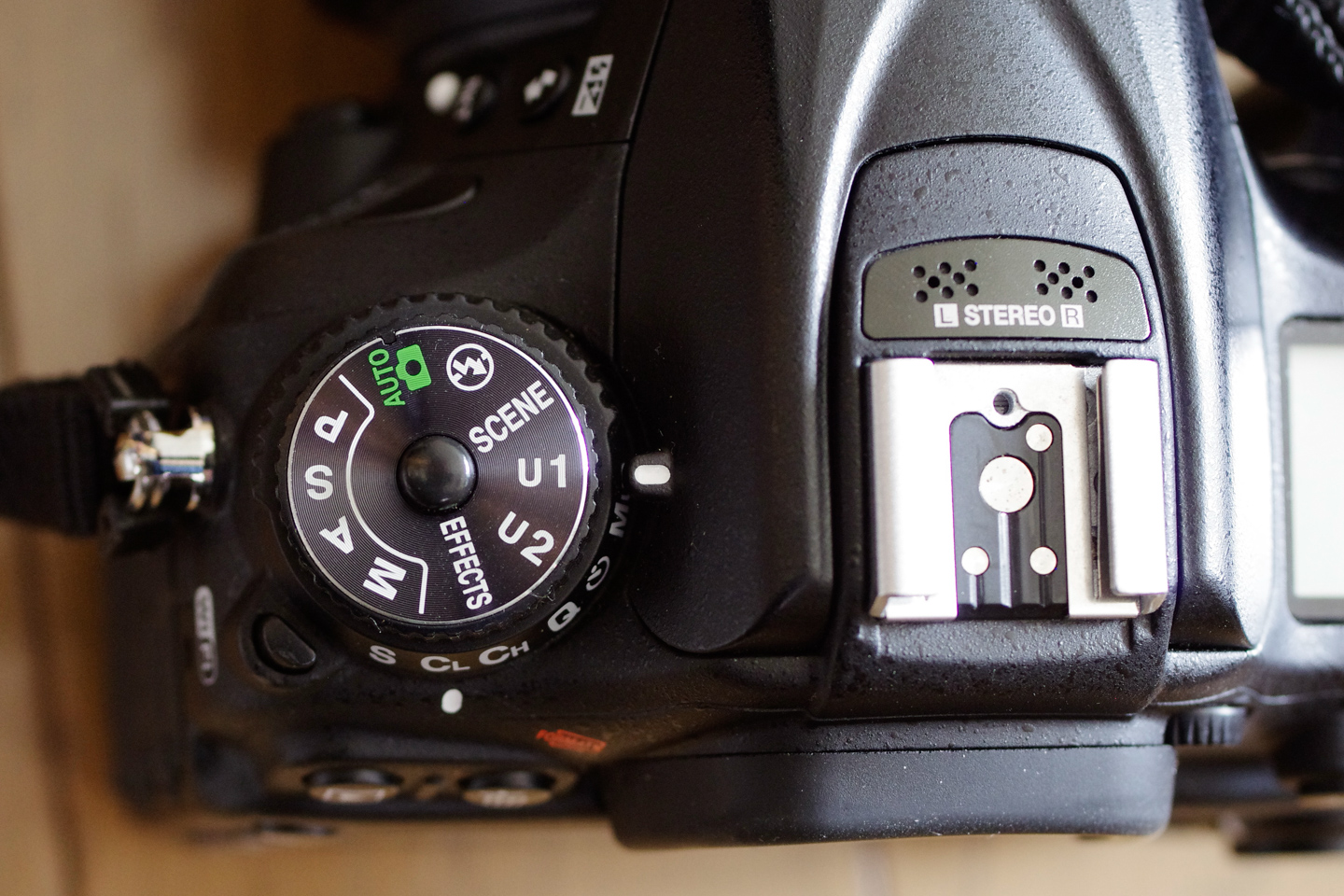 ネイチャースナップのすすめ｜ニコン D7200で探す秋の気配 | ShaSha